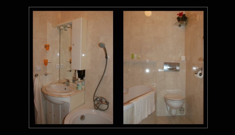 Pension Napoleon Karlovy Vary - Apartmán s ložnicí